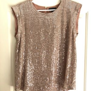 Sparkly Blush J.Crew Blouse